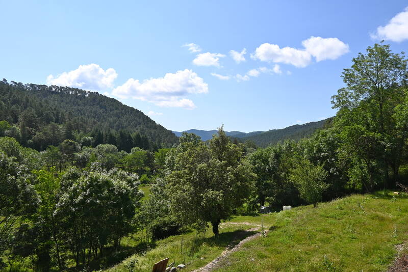 Chamborigaud (30530)