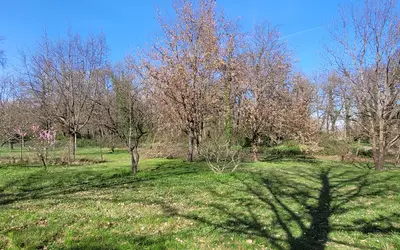 Martres-Tolosane (31220)