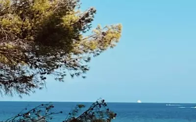 Grimaud