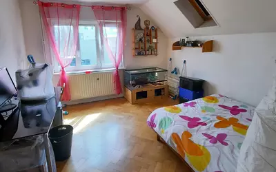 Wintzenheim (68124)