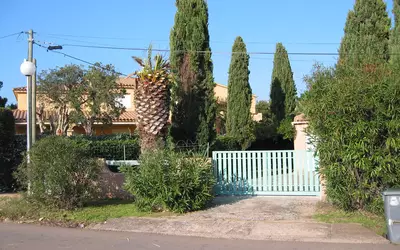 Lecci (20137)