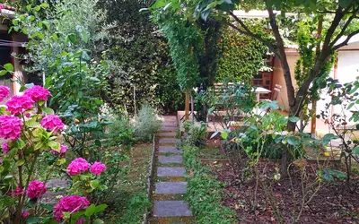 Montrouge (92120)