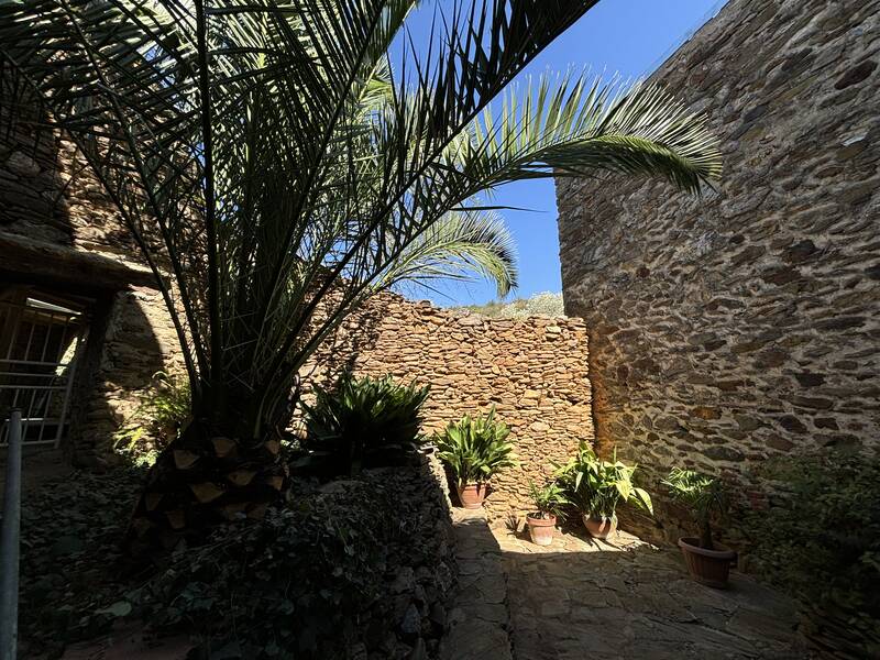 Camélas (66300)