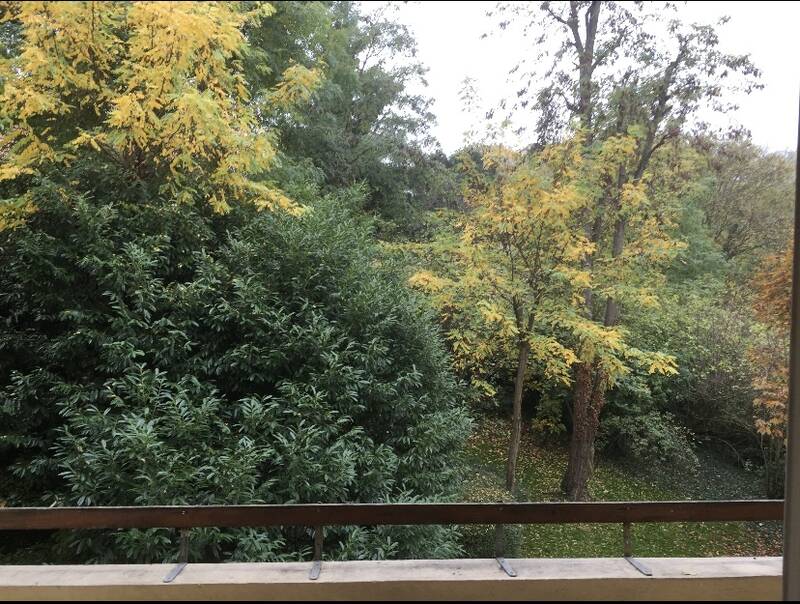 Rosny-Sous-Bois (93110)
