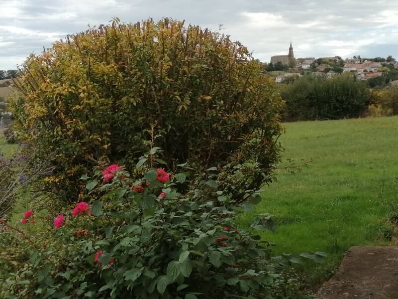 Montjoire