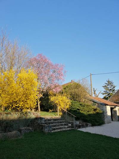 Vente maison 10 pièces Cusey (52190)