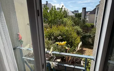 Rueil-Malmaison (92500)