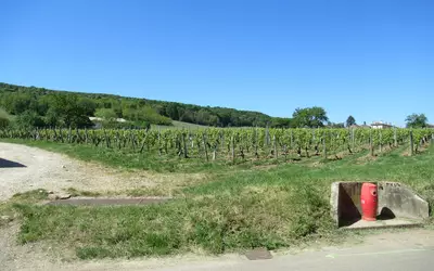 Viré (71260)