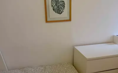 Chambre À Louer En Colocation