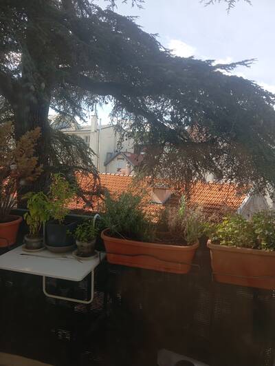 Vente appartement 2 pièces Maroc