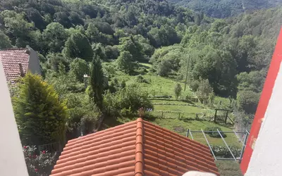 Sampolo