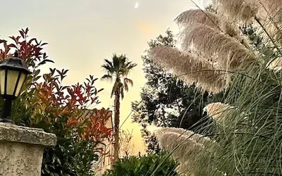 Biot