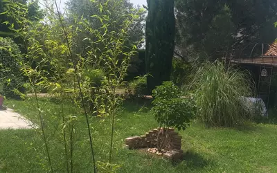 Saint-Rambert-D'albon (26140)