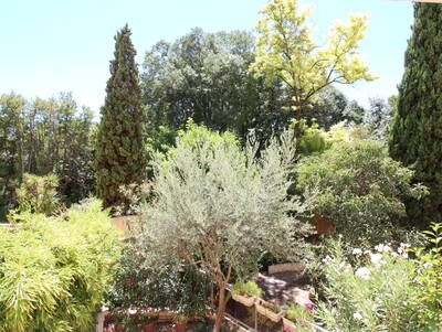 Vente appartement 3 pièces Montpellier (34)