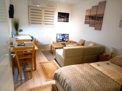 Vente appartement studio Nancy (54)