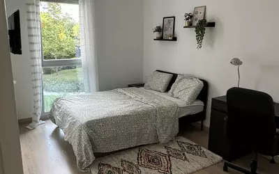 Cergy (95000)