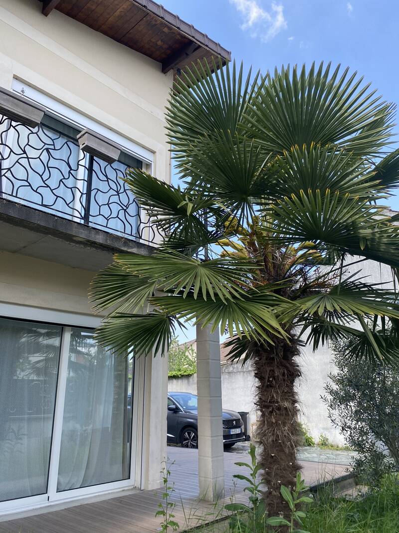Livry-Gargan (93190)
