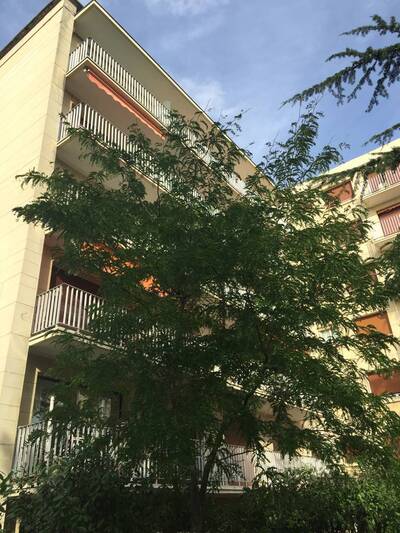 Location appartement 2 pièces Saint-Maur-des-Fossés (94)