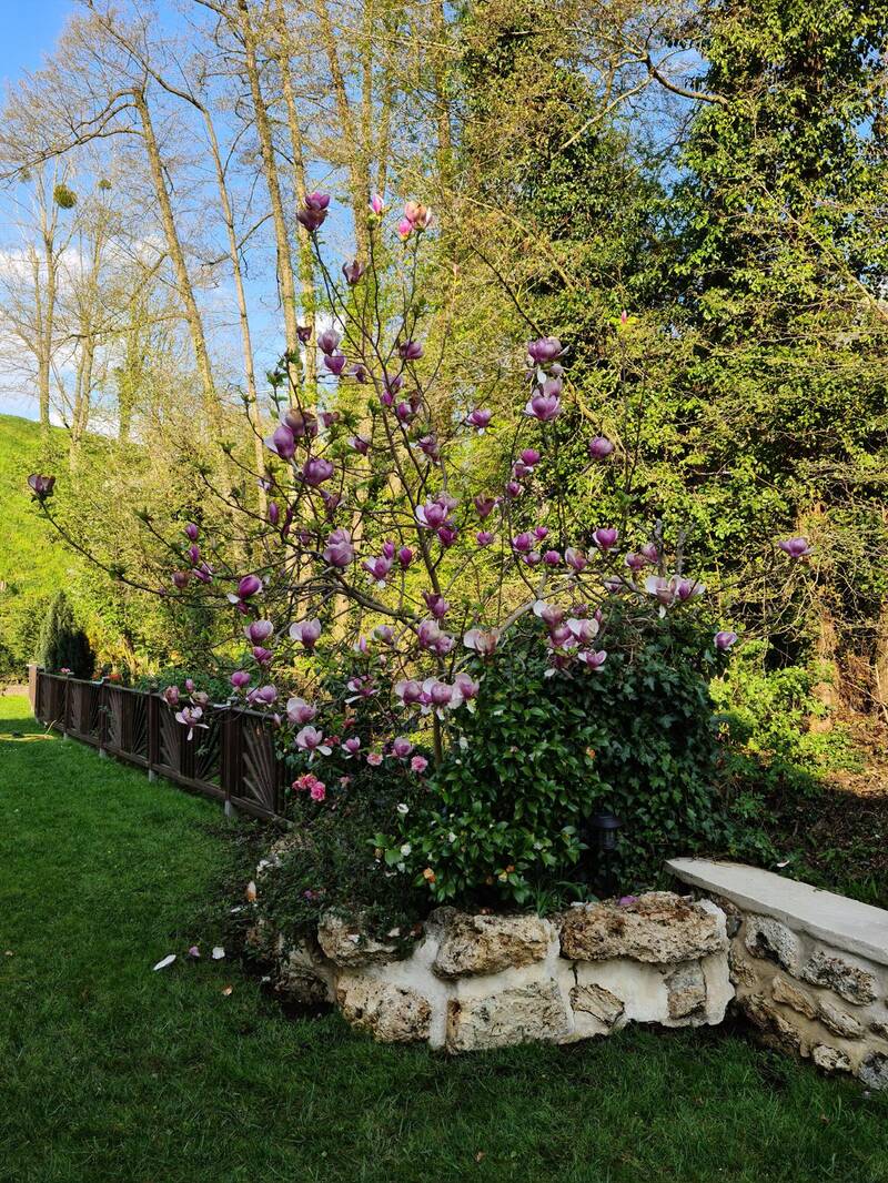 Bures-Sur-Yvette (91440)