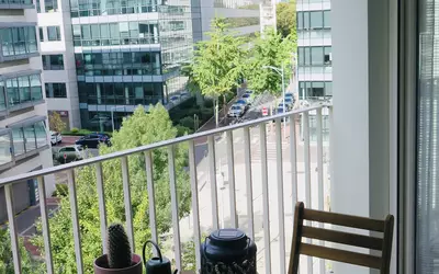 Issy-Les-Moulineaux (92130)