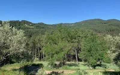 Saint-André-Lachamp (07230)