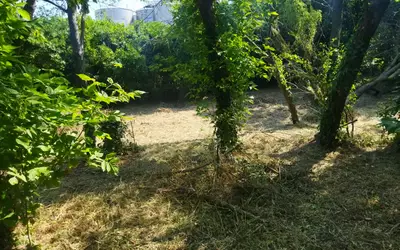 Coursan (11110)