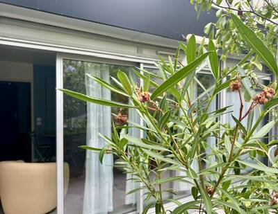 Vente appartement studio Cenon (33150)