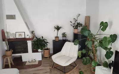 Armissan (11110)