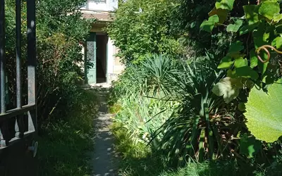 Lagny-Sur-Marne (77400)