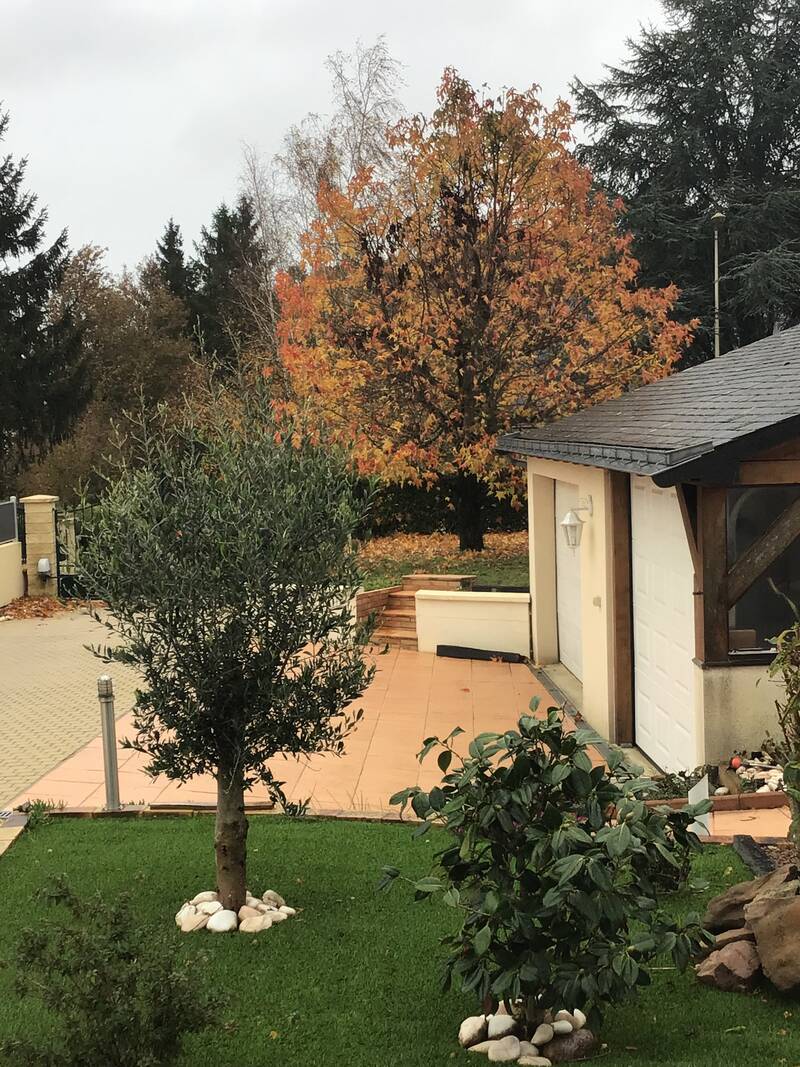 Les Rosiers-Sur-Loire (49350)
