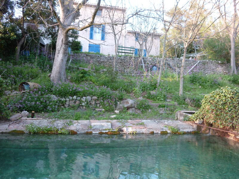 Vidauban (83550)