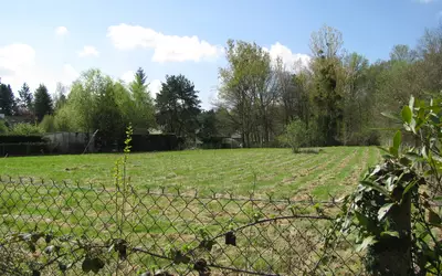Chambon-La-Forêt (45340)