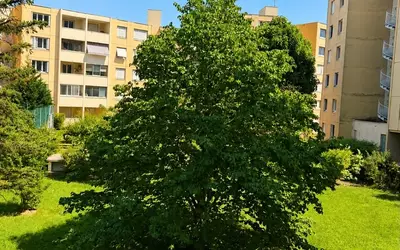 Villeurbanne (69100)