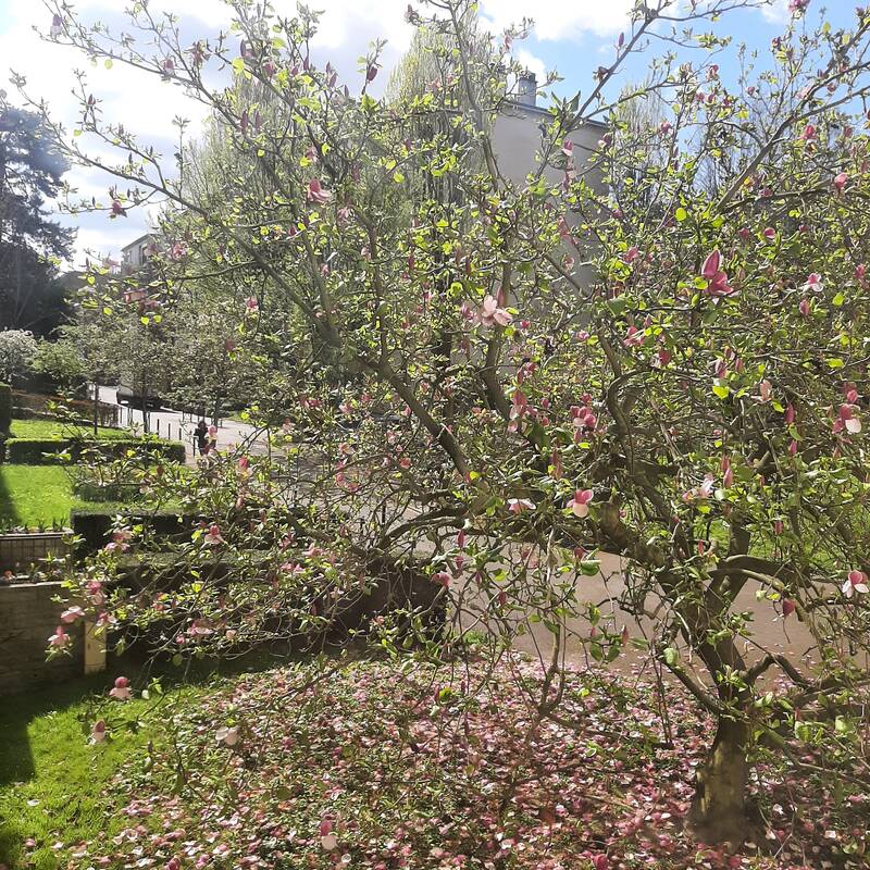Sceaux (92330)
