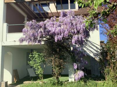 Vente maison 7 pièces Mâcon (71000)