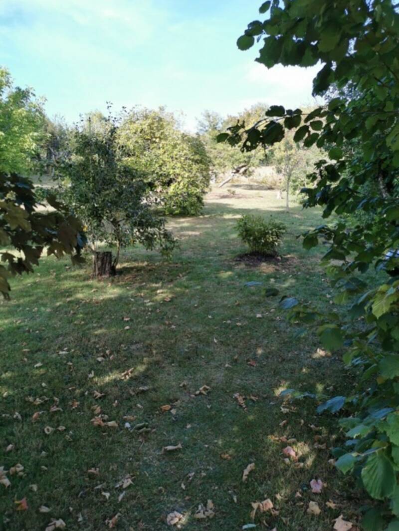 Bralleville (54740)
