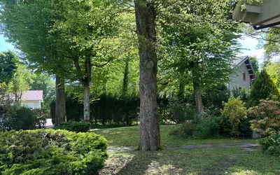 Chevigny-Saint-Sauveur (21800)