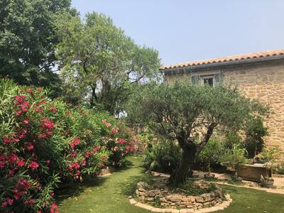 Vente maison 6 pièces Cornillon-Confoux (13250)