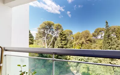 Montpellier (34000)
