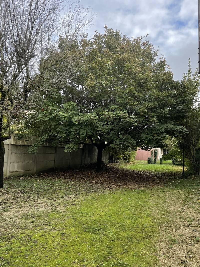 Argenteuil (95100)