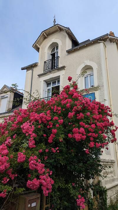 Vente maison 5 pièces Saint-André-des-Eaux (44117)