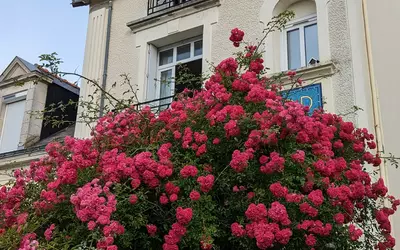 Saint-André-Des-Eaux (44117)