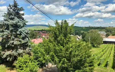 Bergholtzzell (68500)