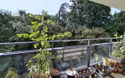 Sceaux (92330)