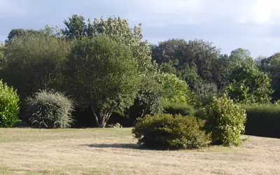 Trébeurden (22560)