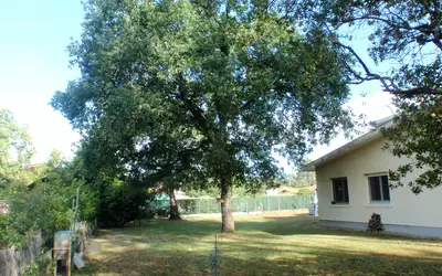 Rion-Des-Landes (40370)
