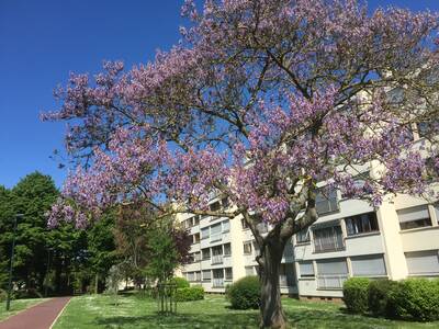 Vente appartement 3 pièces Chennevières-sur-Marne (94430)