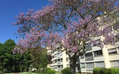 Chennevières-Sur-Marne (94430)