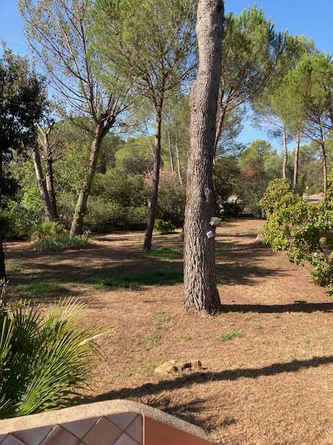 Puget-Sur-Argens (83480)