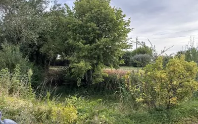Saint-Vincent-Des-Prés (72600)